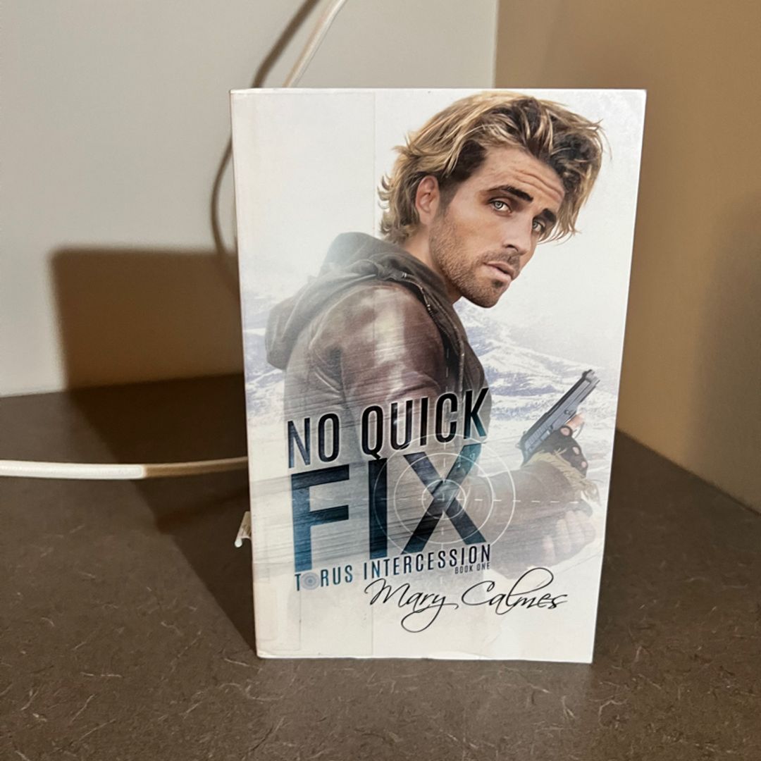 No Quick Fix: Torus Intercession Book One