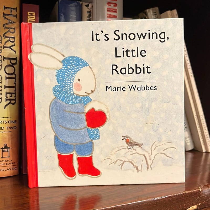 It's Snowing, Little Rabbit