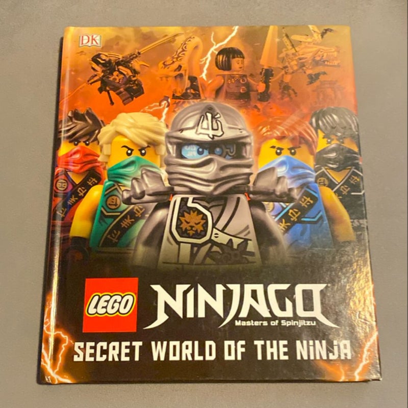 Secret World Of The Ninja