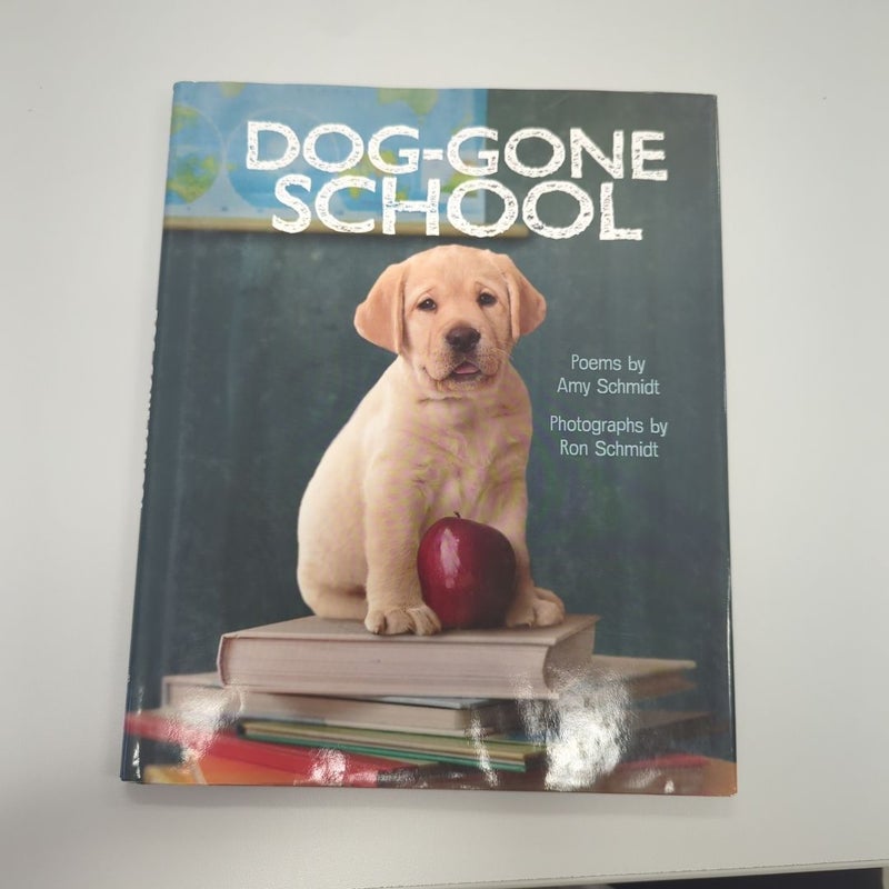 Dog-Gone School