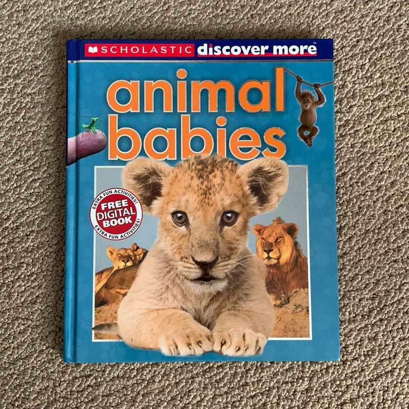 Animal Babies