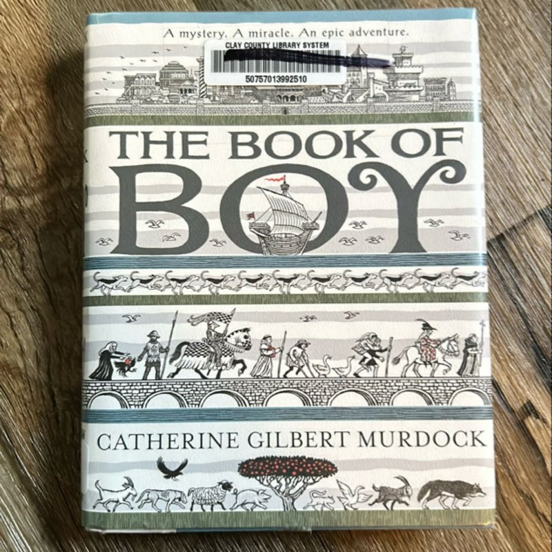 The Book of Boy