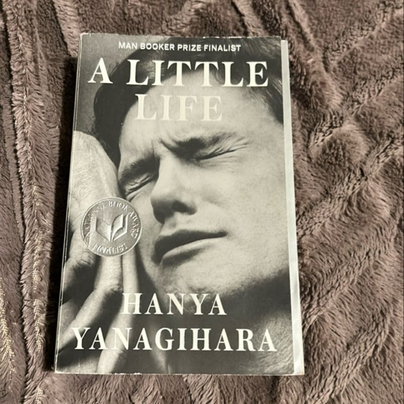 A Little Life