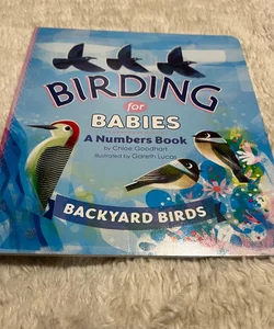 Birding for Babies