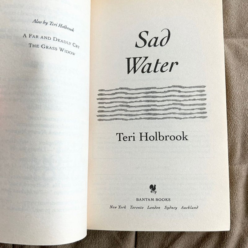 Sad Water  1730