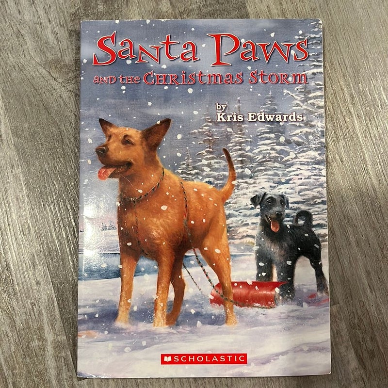 Santa Paws and the Christmas Storm