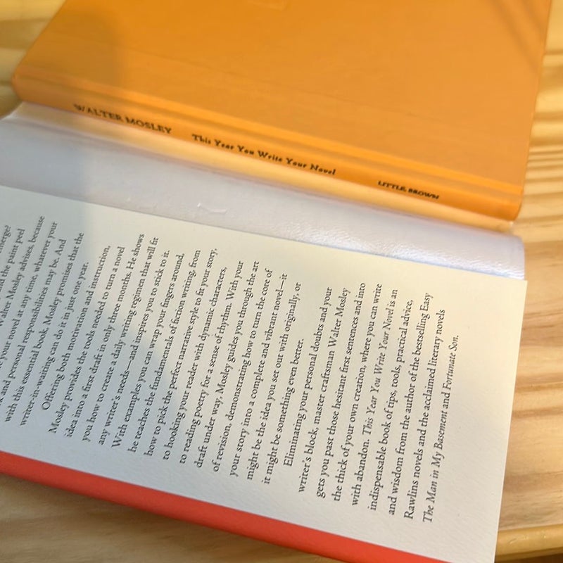 This Year You Write Your Novel