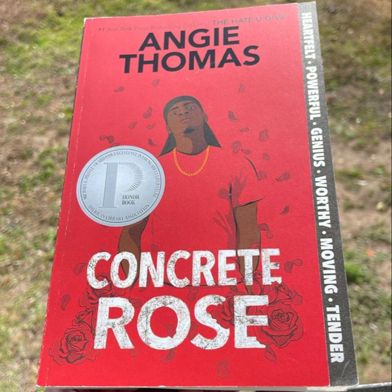 Concrete Rose