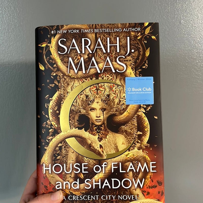 House of Flame and Shadow 