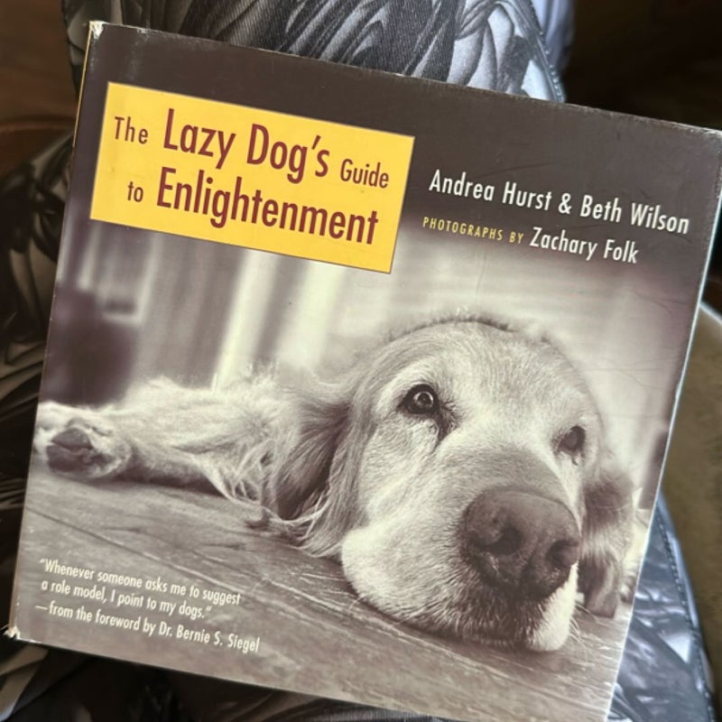 The Lazy Dog's Guide to Enlightenment