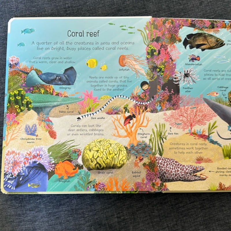 My Very First Seas and Oceans Book