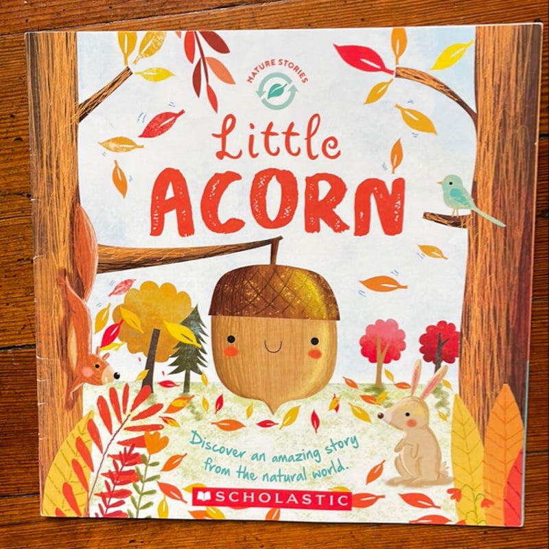 Little Acorn