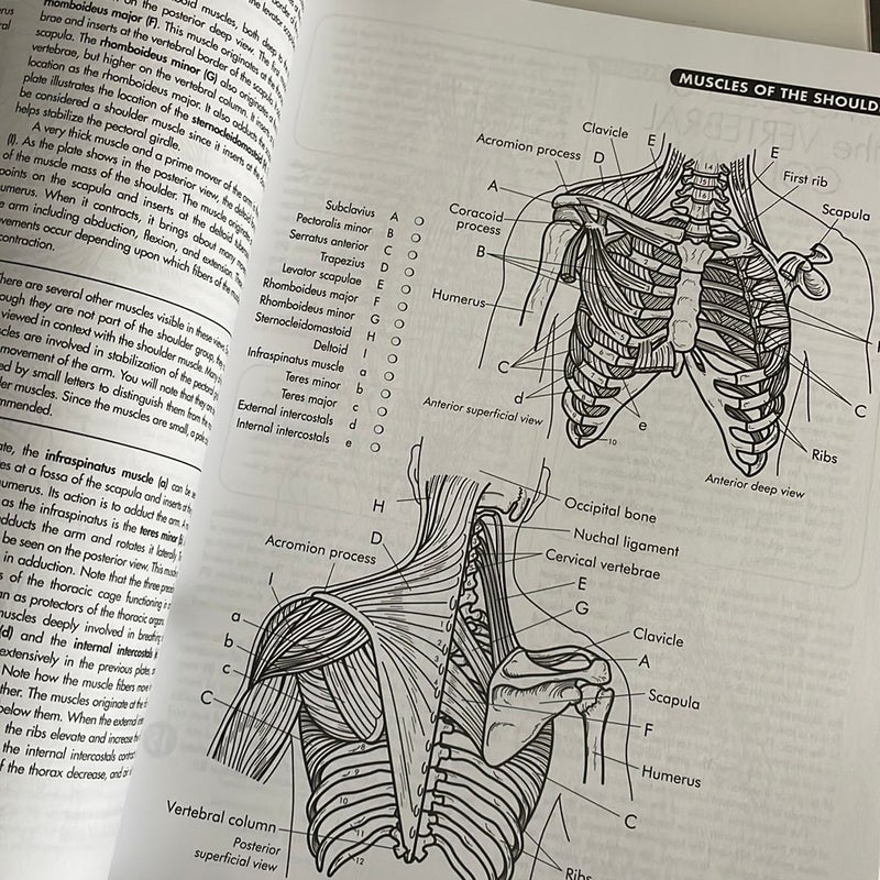 Anatomy Coloring Workbook, 4th Edition