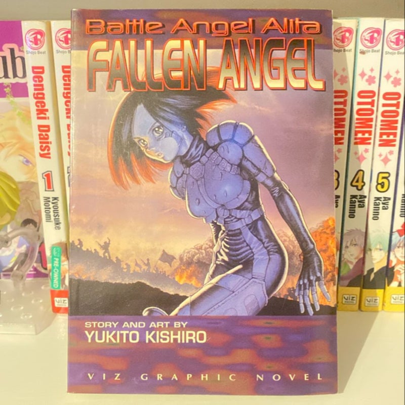 Fallen Angel