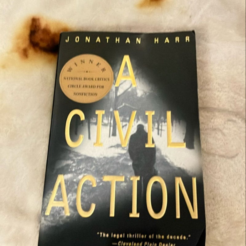 A Civil Action