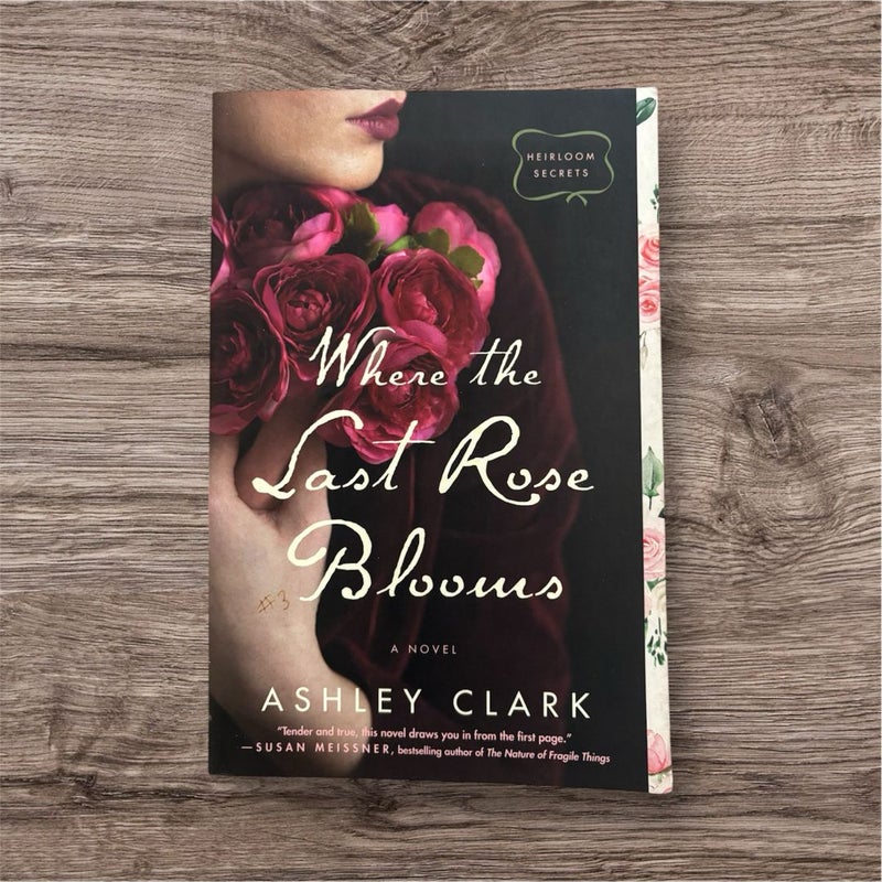 Where the Last Rose Blooms