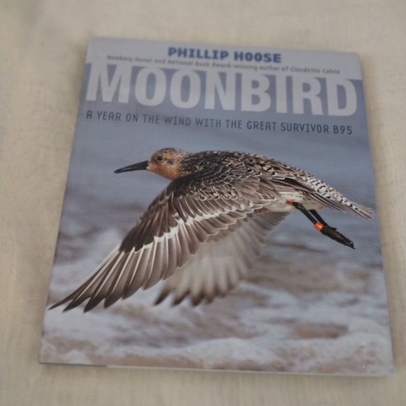 MOONBIRD JOHN ＆FAITH HUBLEY 【レーザーディスク】 $_12.JPG?set_id=880000500F