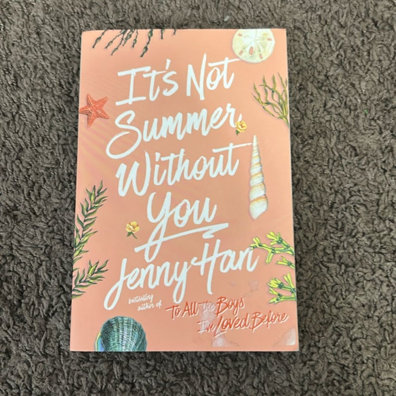 It's Not Summer Without You
