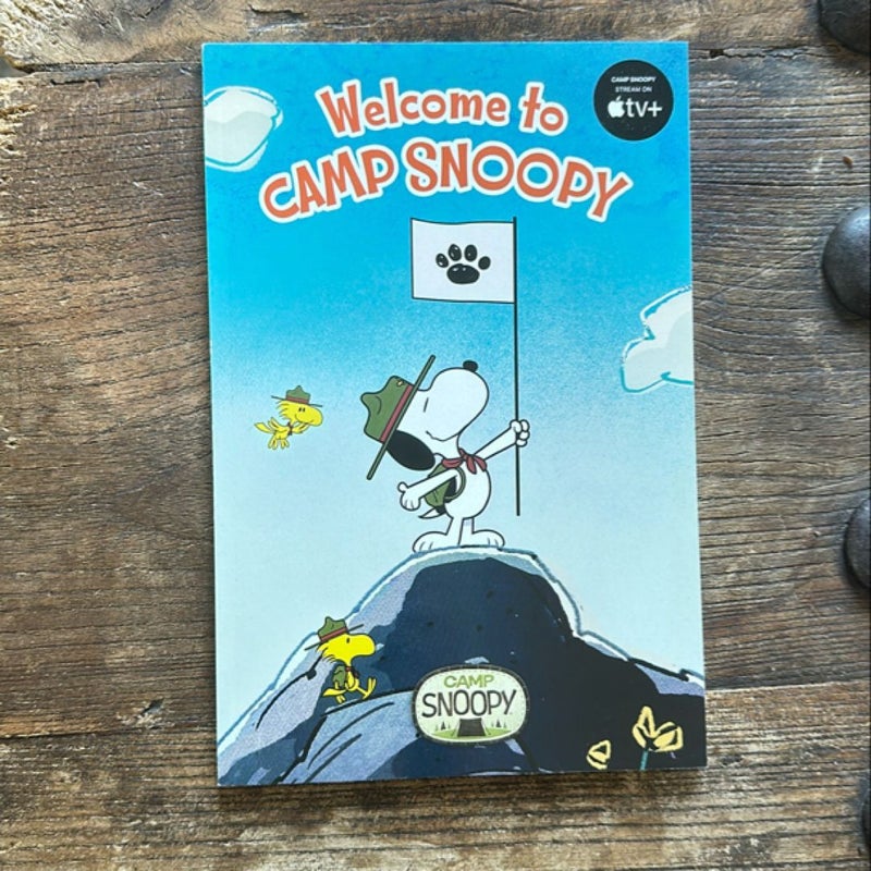 Welcome to Camp Snoopy