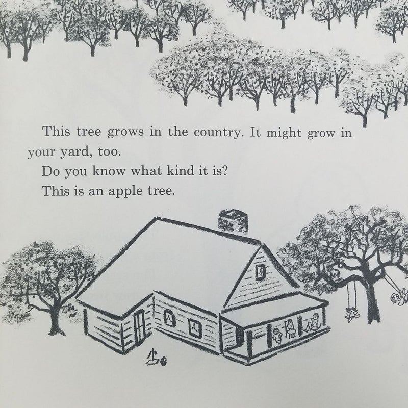 A Tree is a Plant 1960 (Let's Read And Find Out Science)