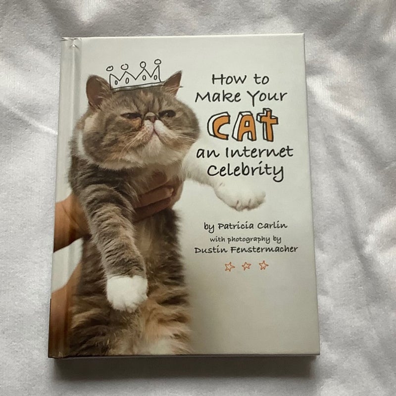 How to make your cat an internet celebrity