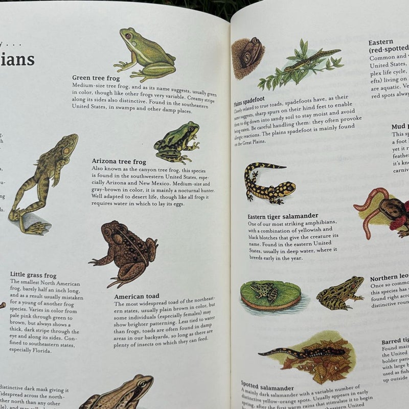The Bumper Book of Nature
