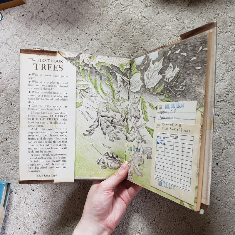 The First Book of Trees (8th Printing, 1951)