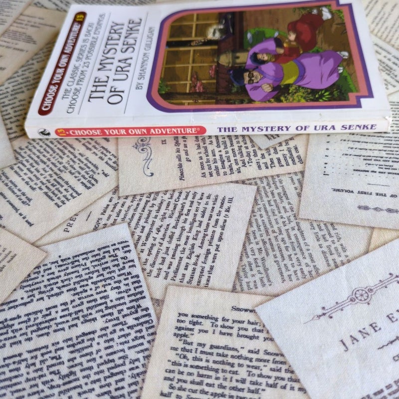 Choose Your Own Adventure #13: The Mystery of Ura Senke
