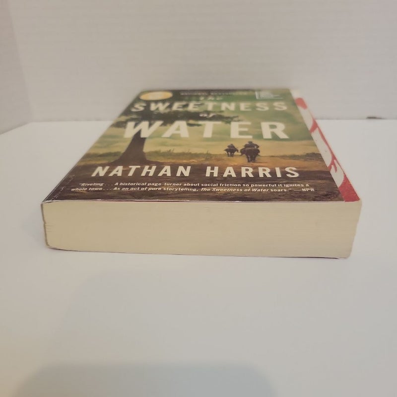 The Sweetness of Water (Oprah's Book Club)