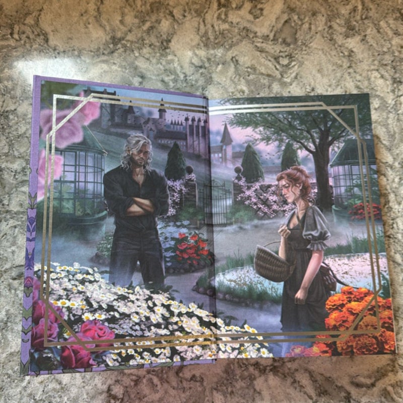 Iron & Embers (FairyLoot Edition) 