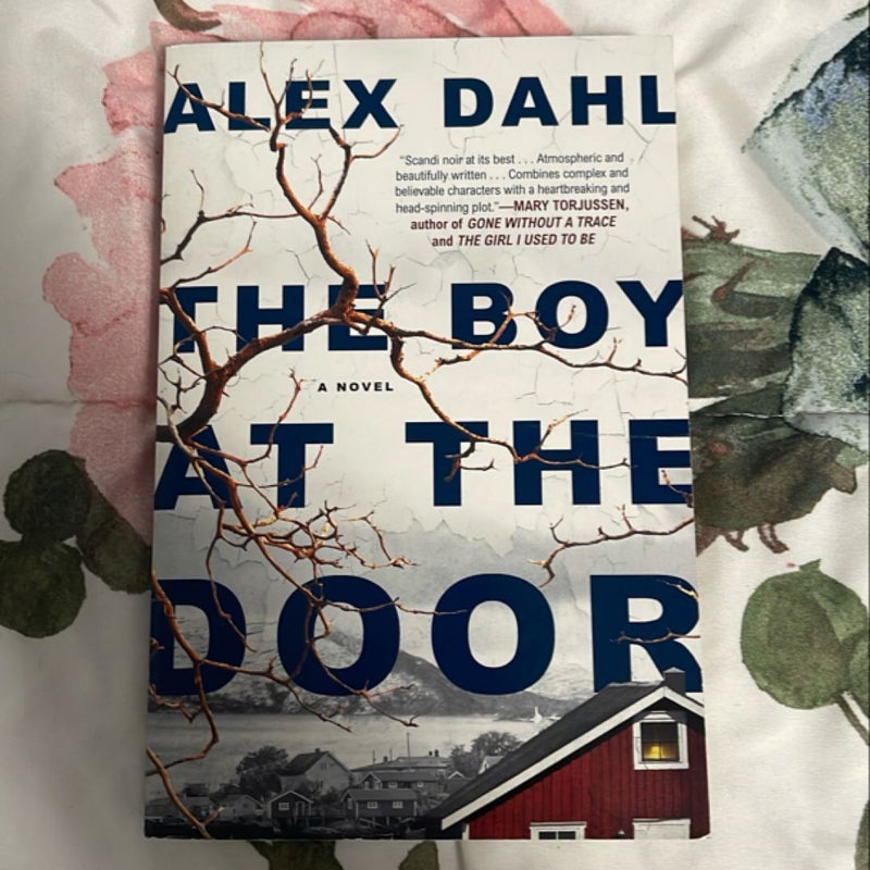 The Boy at the Door