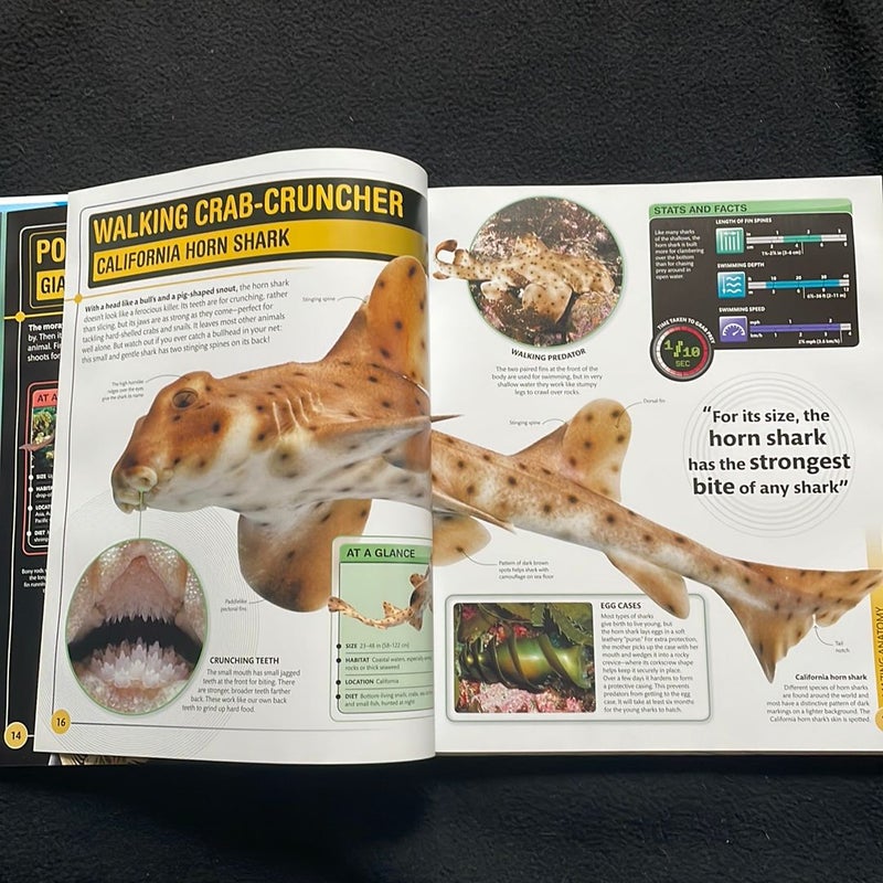 Super Shark Encyclopedia