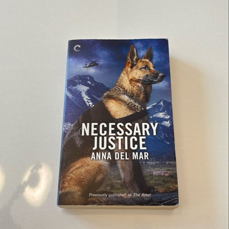 Necessary Justice