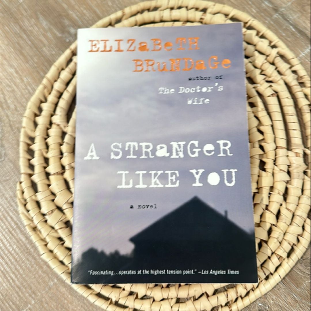 A Stranger Like You