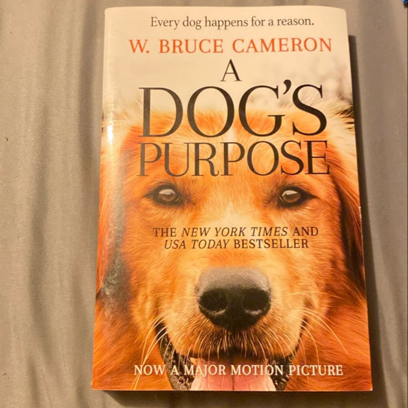 A Dog’s Purpose