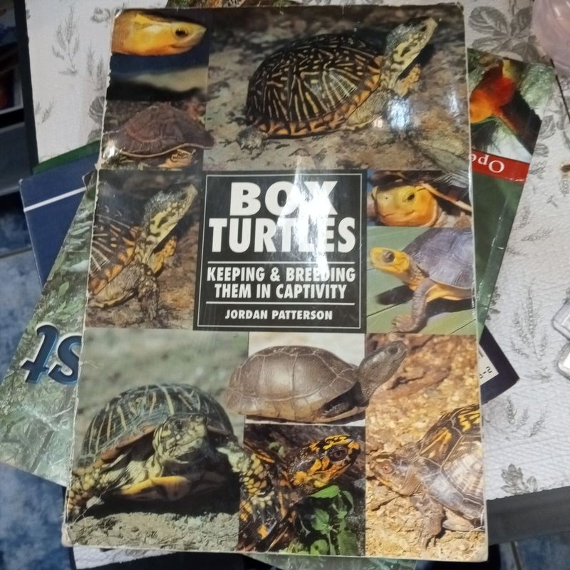 Box Turtles