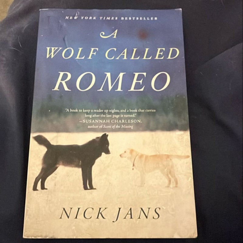 A Wolf Called Romeo