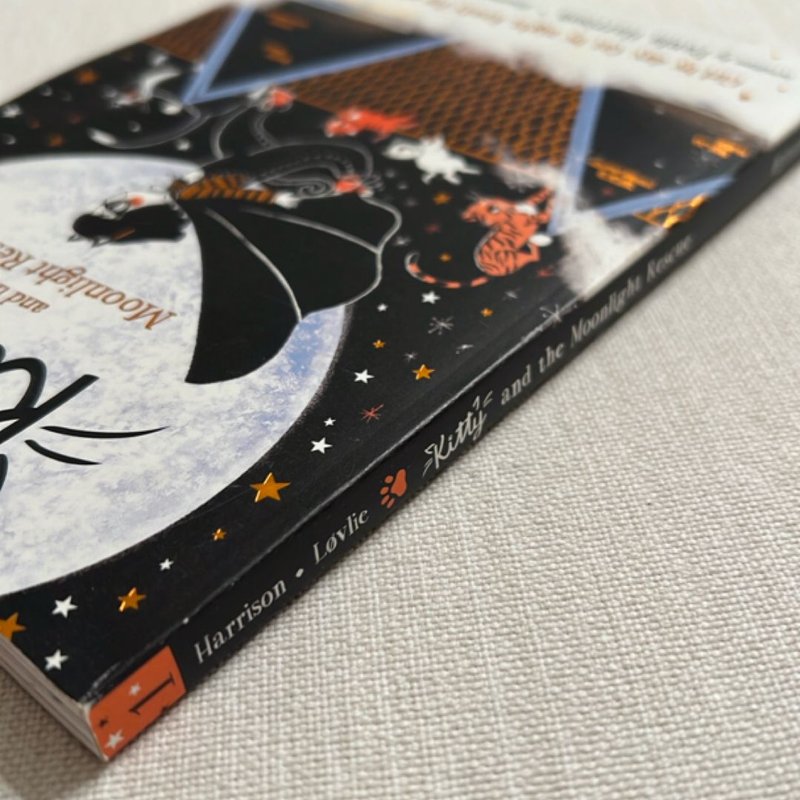 Kitty and the Moonlight Rescue