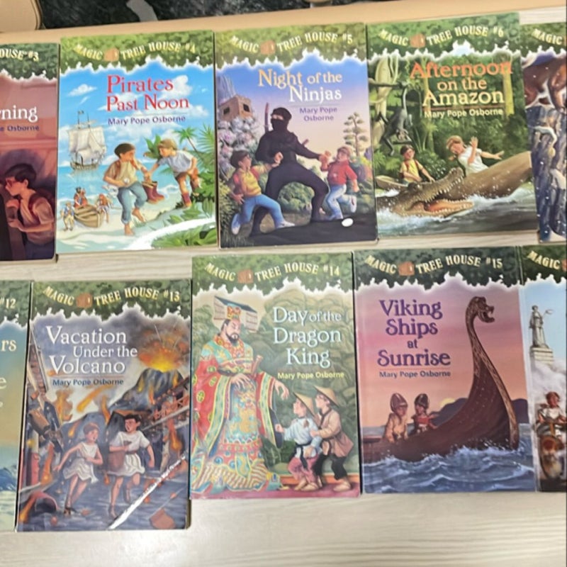 Magic Tree House Series 1-16 (missing #10)