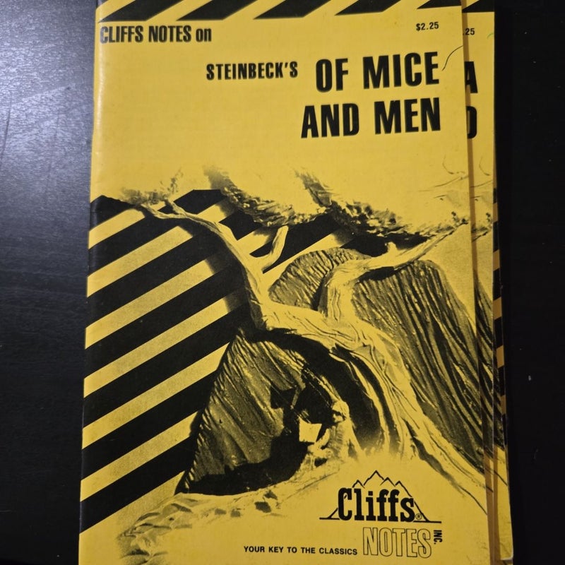 Cliff Notes(set of 4) Of Mice and Men, To Kill a Mockingbird, The Iliad, and The Sun of Aslo Rises