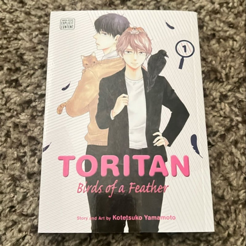 Toritan: Birds of a Feather, Vol. 1