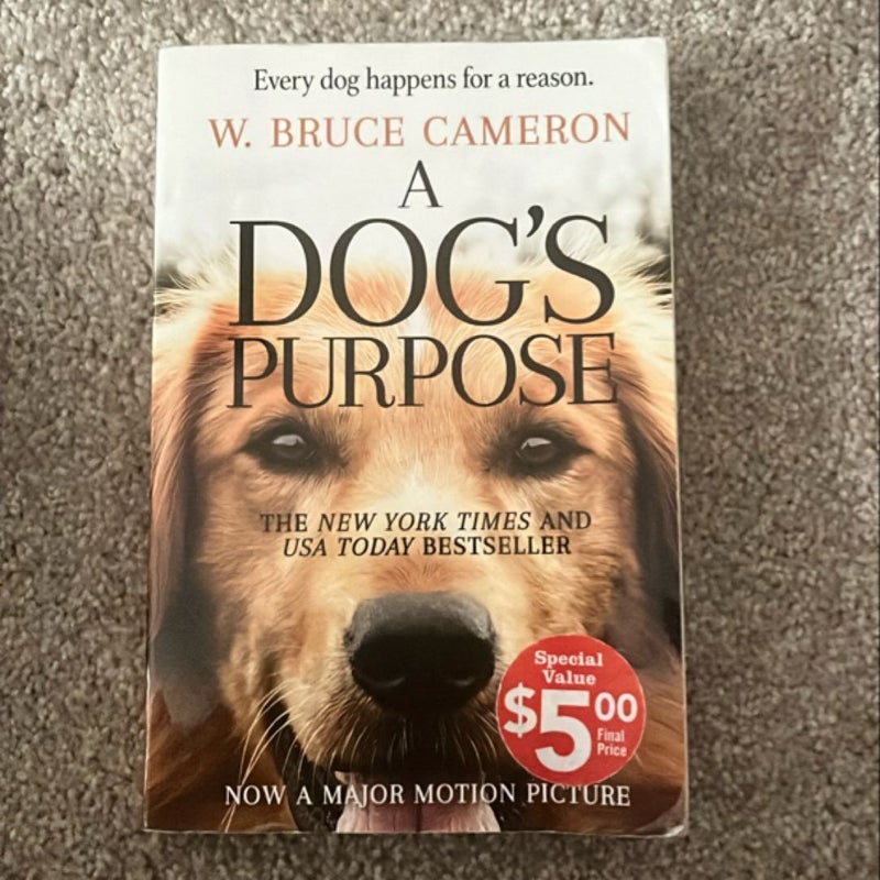 A Dogs Purpose