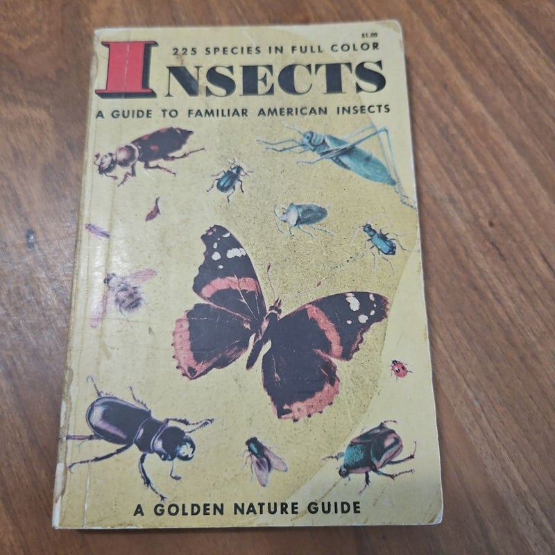 Insects