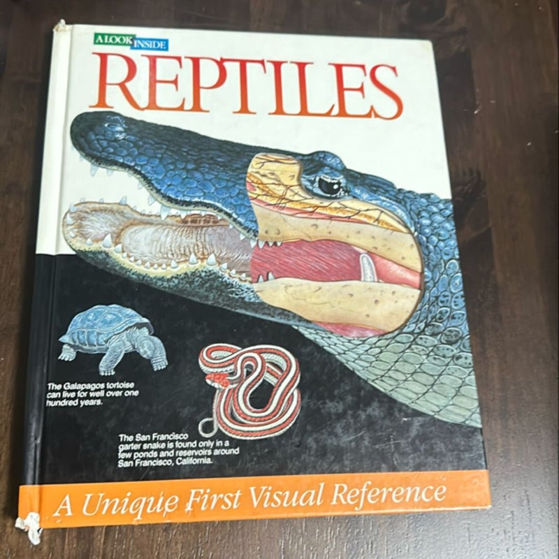 Reptiles