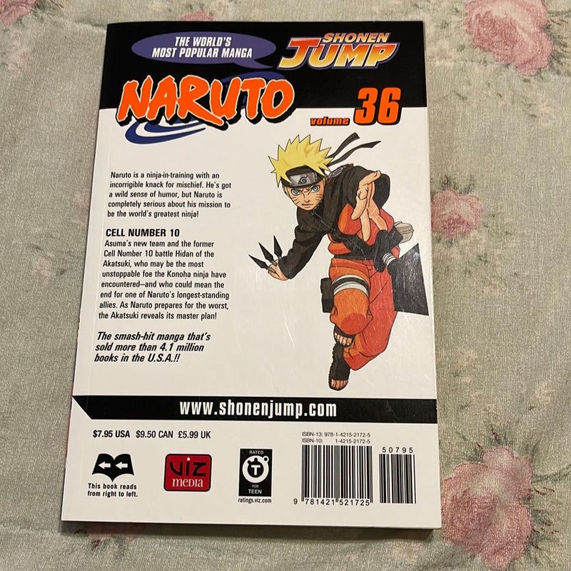 Naruto, Vol. 36
