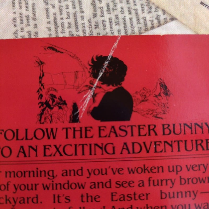 The Great Easter Bunny Adventure