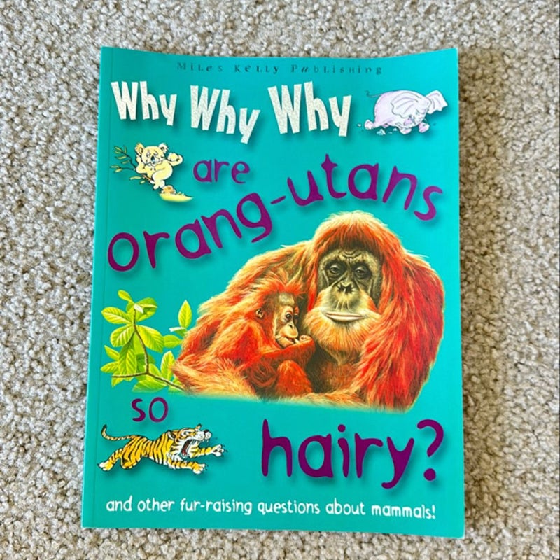 Do Orang Utangs Live in Trees