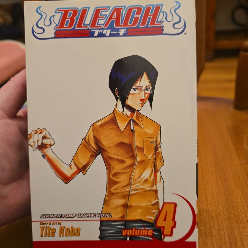 Bleach, Vol. 4