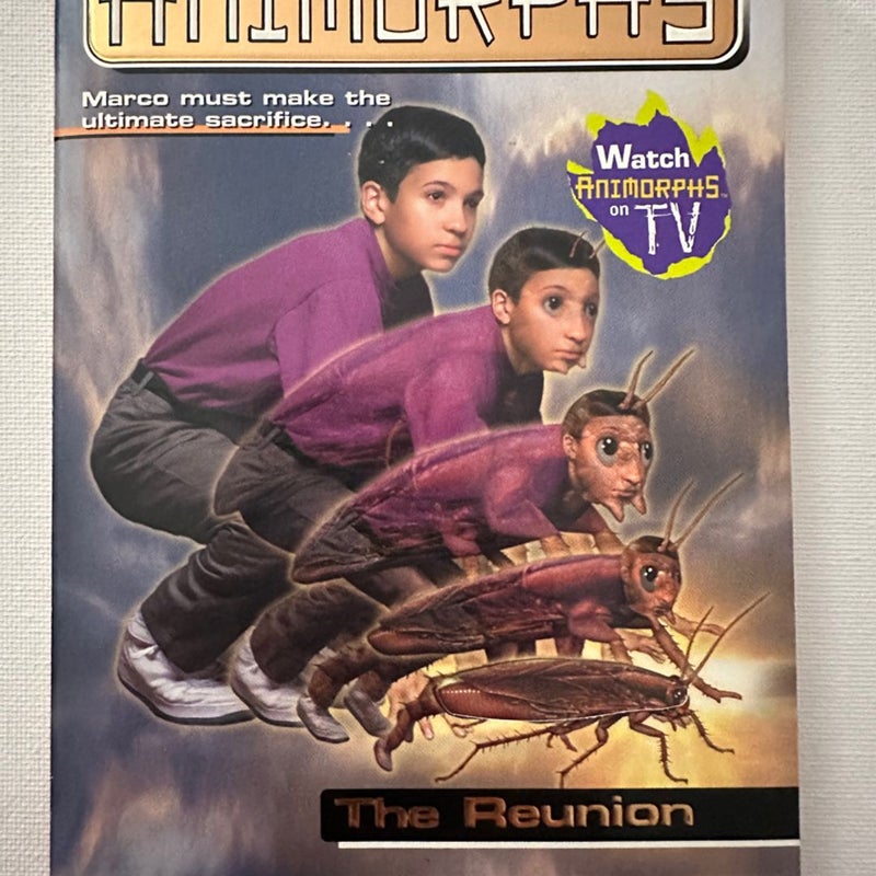 The Reunion