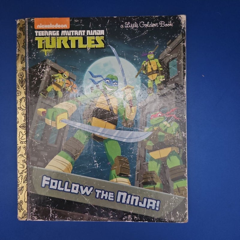 Follow the Ninja! (Teenage Mutant Ninja Turtles)